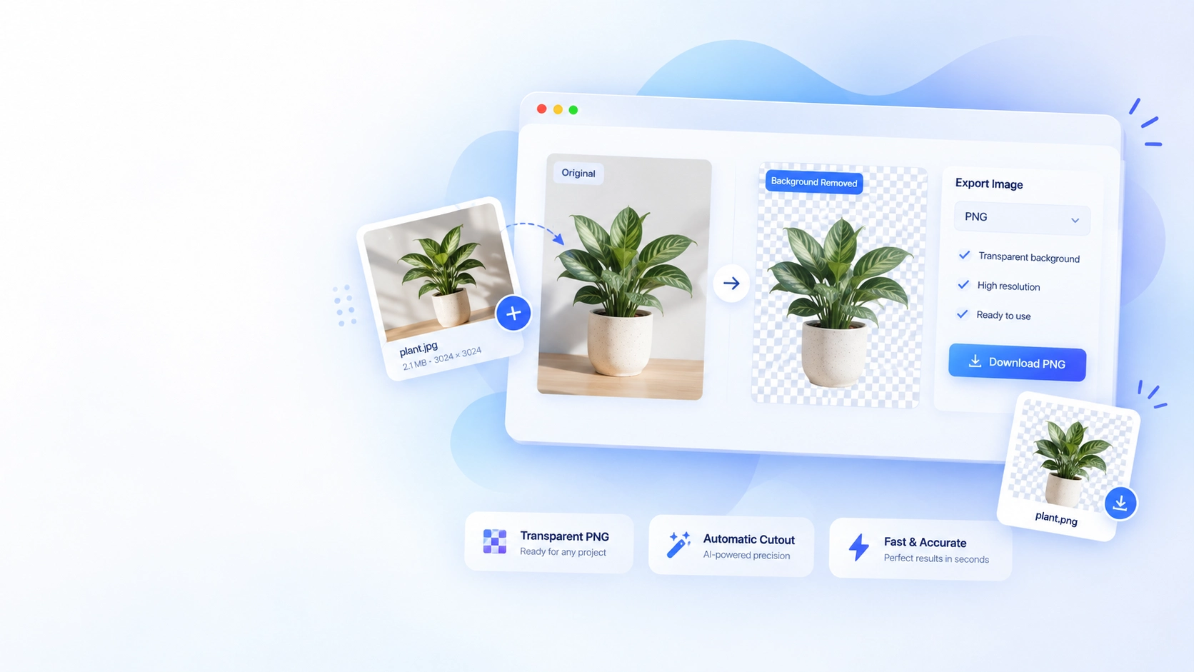 A plant photo before and after its background is removed